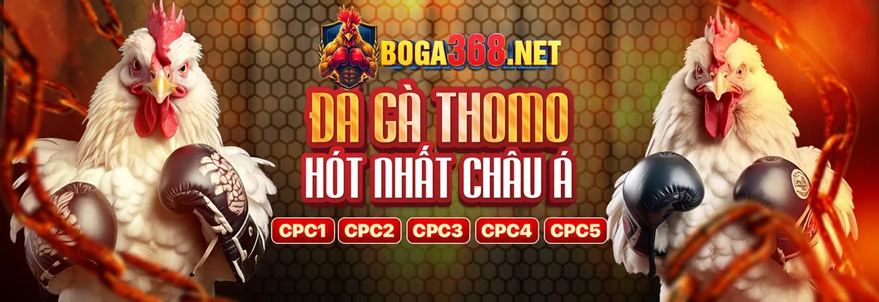 Đá gà trực tuyến kịch tính tại abc8 uy tín